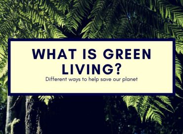 Green Living Blog – Top Eco Magazine