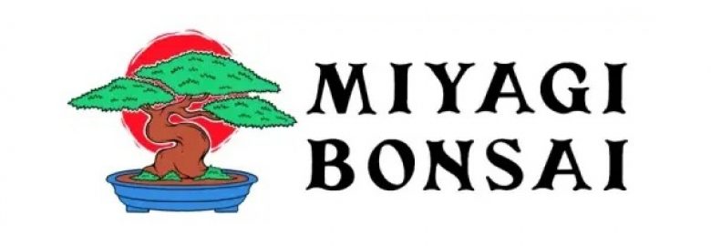 Miyagi Bonsai