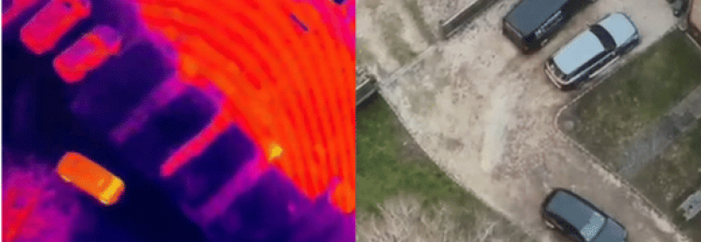 Dalton International