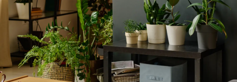 Fine Finish Decorative