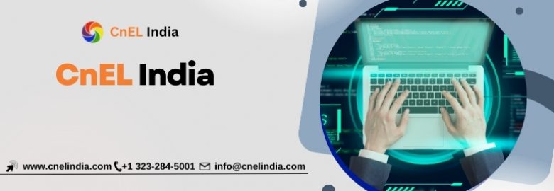 CnEL India