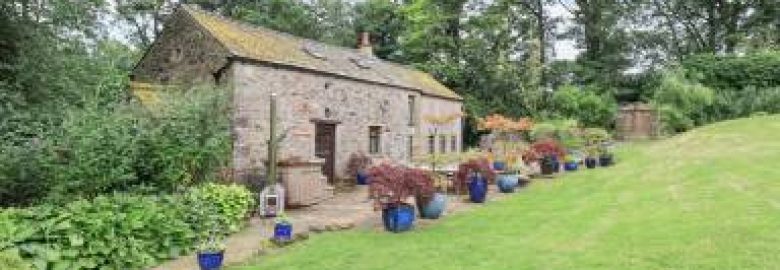 Village Rentals