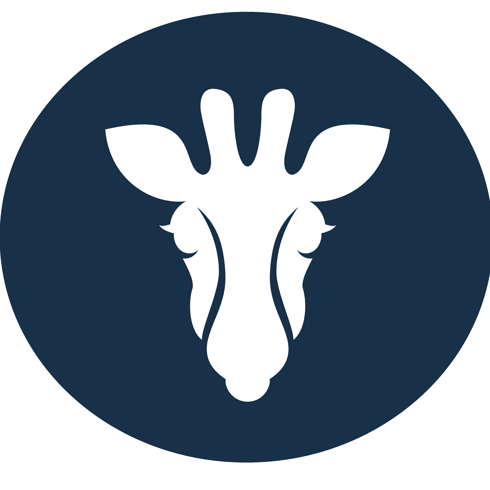 giraffe-hosting-limited